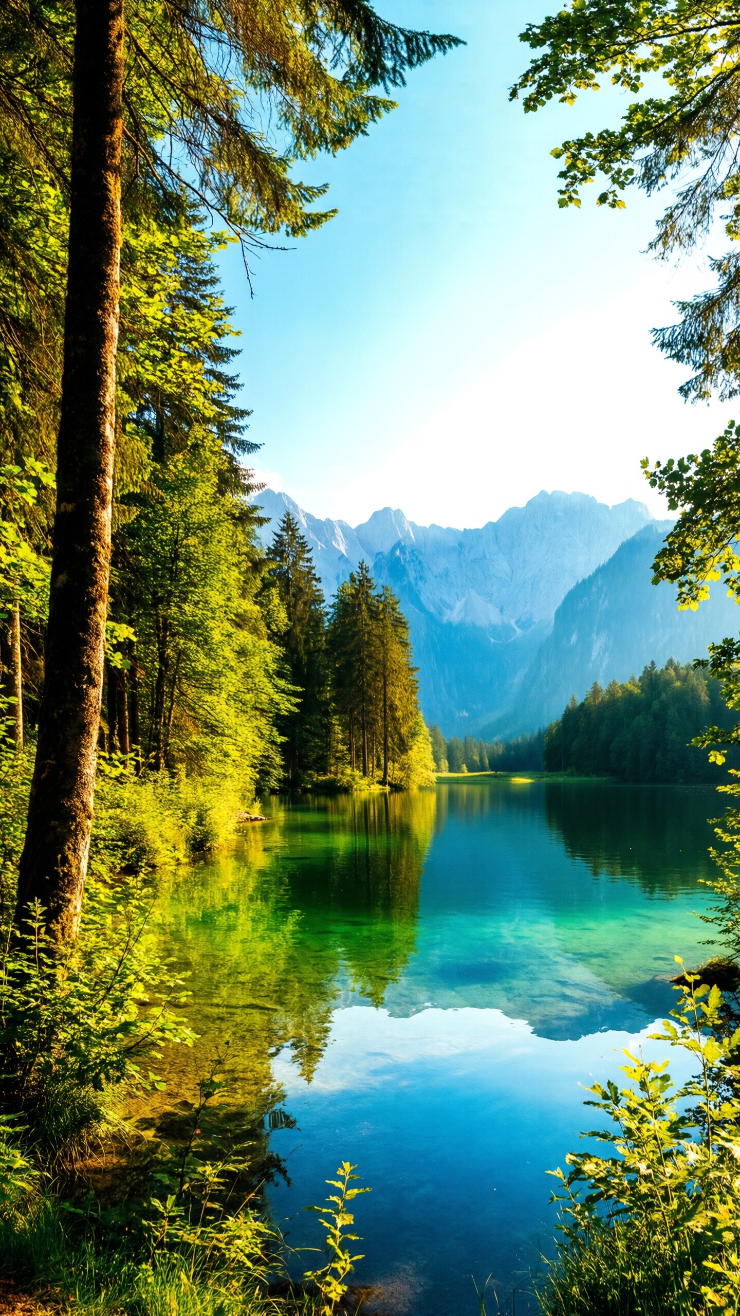 Serene Forest Reflections - AI generated wallpaper
