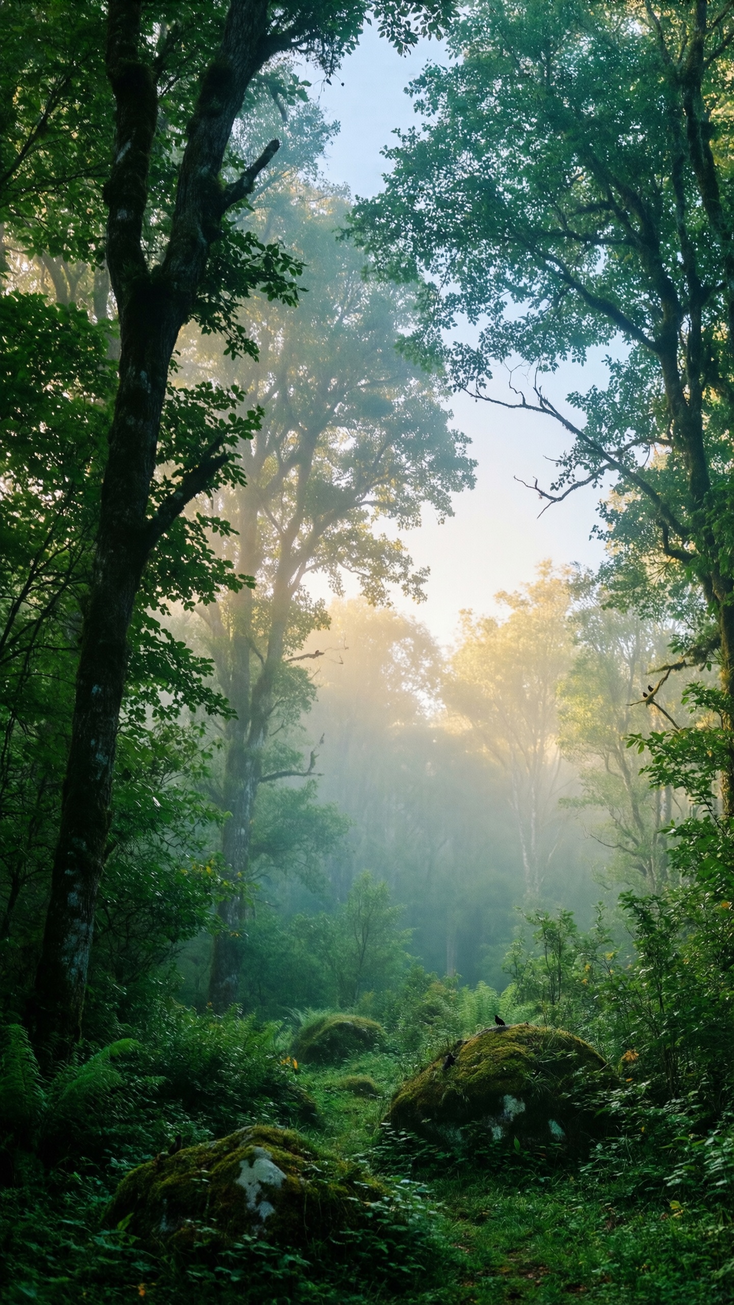 Misty Forest Morning - AI generated wallpaper